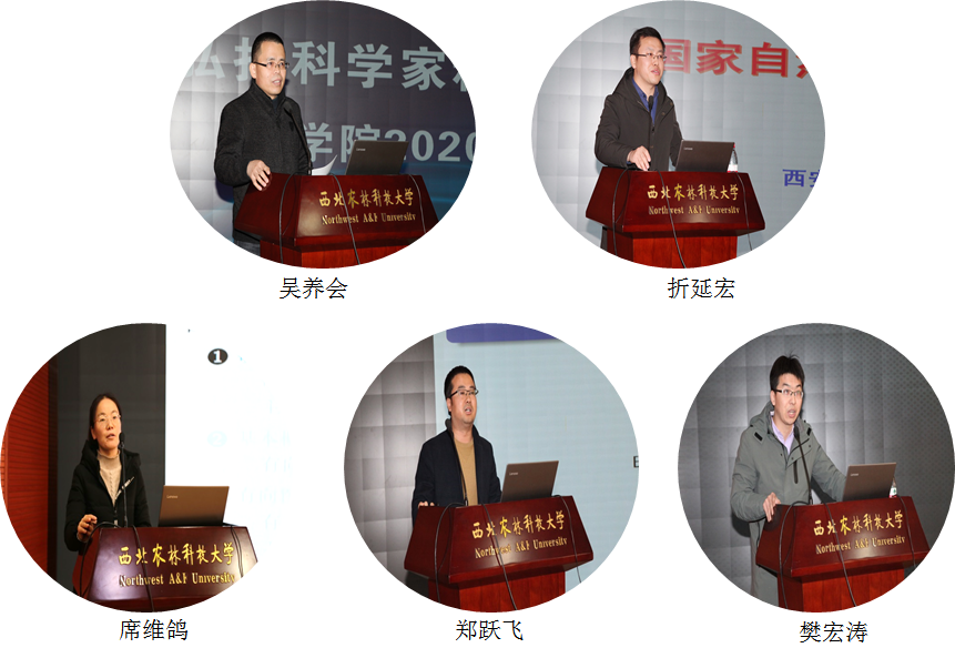 bc67a2f0770140c08693f155c3a05646.png bc67a2f0770140c08693f155c3a05646.png